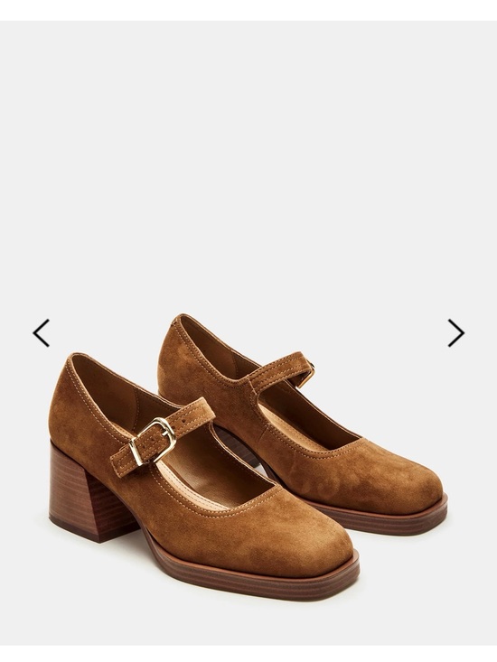 Steve Madden Shoes - Steve Madden - LISBON CHESTNUT SUEDE